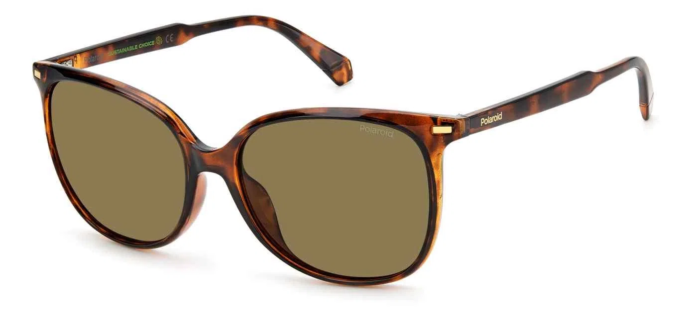 Polaroid Core PLD4125 Sunglasses - view 4